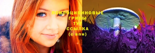mdpv Баксан