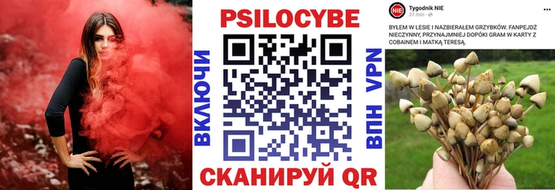 Псилоцибиновые грибы Cubensis  Давлеканово 